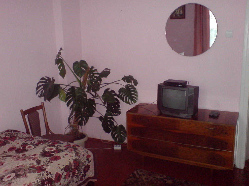 DSC01060