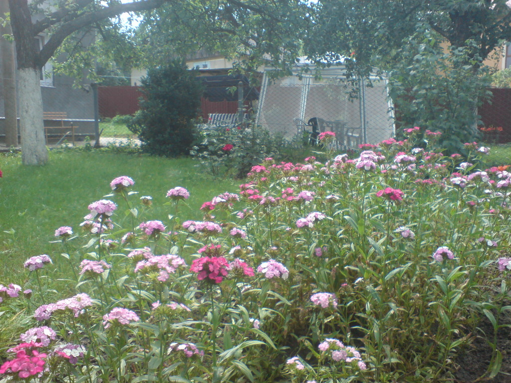 DSC01072